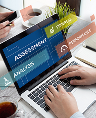 Performance Assessment